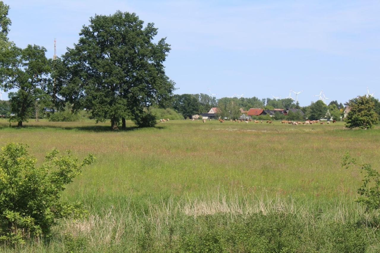 Spreewald Ferienwohnung Luebben מראה חיצוני תמונה