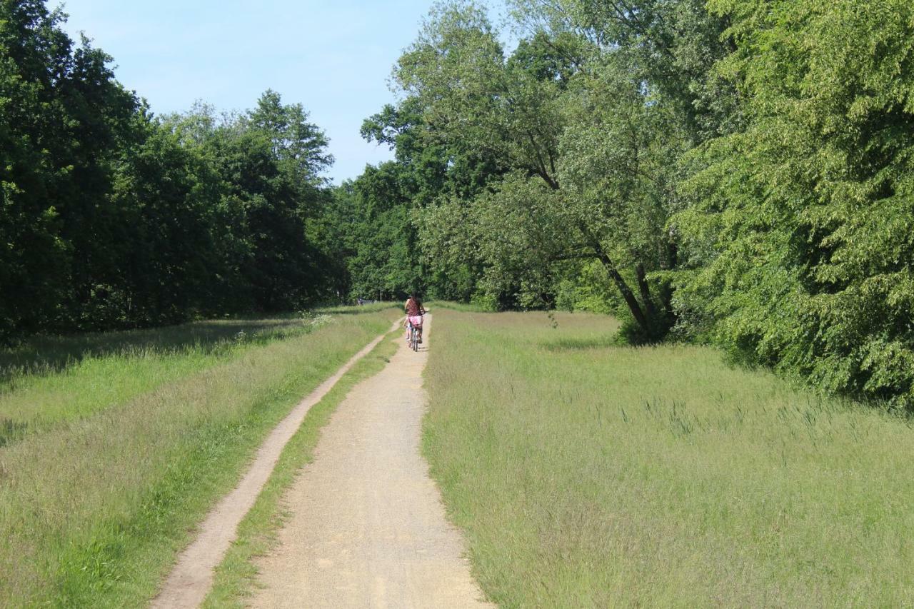 Spreewald Ferienwohnung Luebben מראה חיצוני תמונה