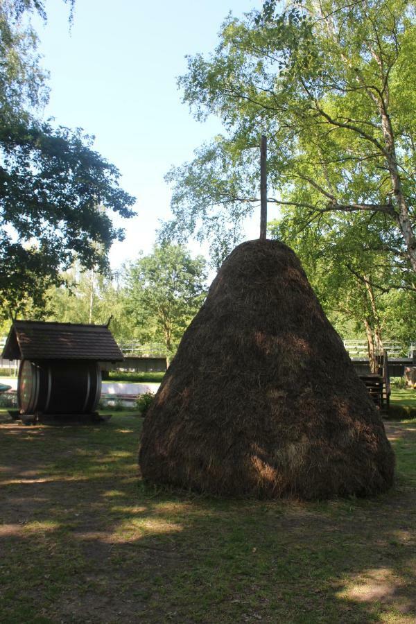 Spreewald Ferienwohnung Luebben מראה חיצוני תמונה